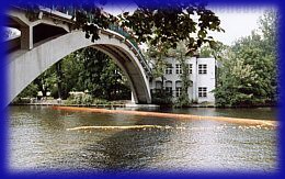 Entenrennen auf der Spree