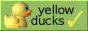 yellow ducks!